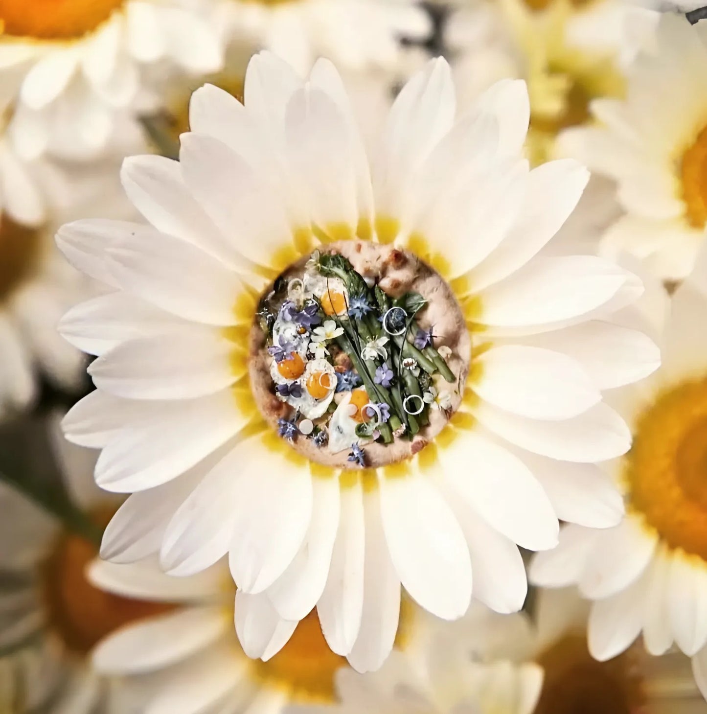 Tee flower pizza - Oversize